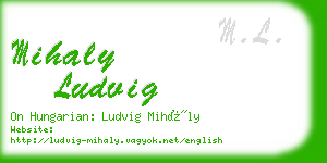 mihaly ludvig business card